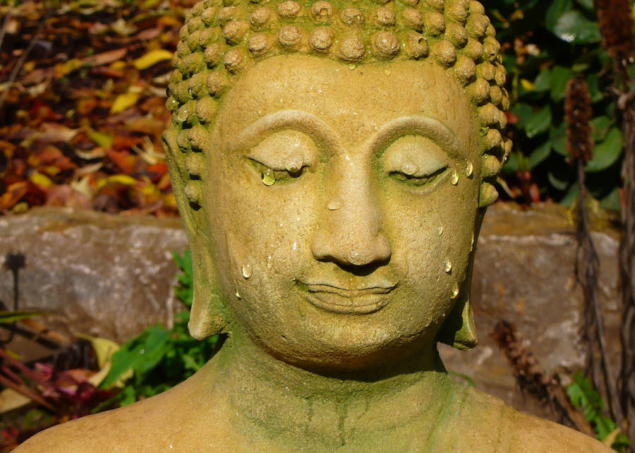 Buddha Hd Close-up Wallpaper
