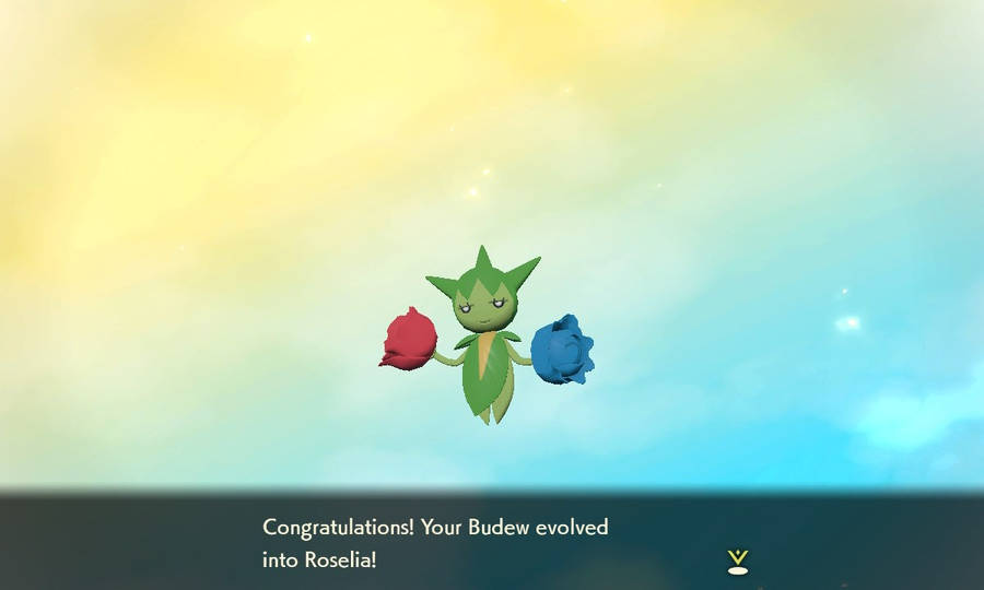 Budew Evolving To Roselia Wallpaper