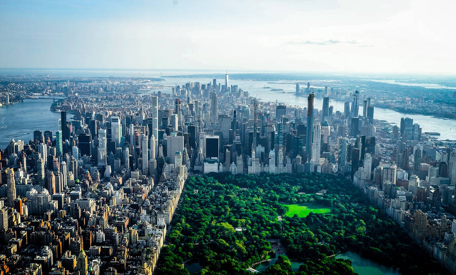 Buildings Surrounding Central Park Greenery Wallpaper