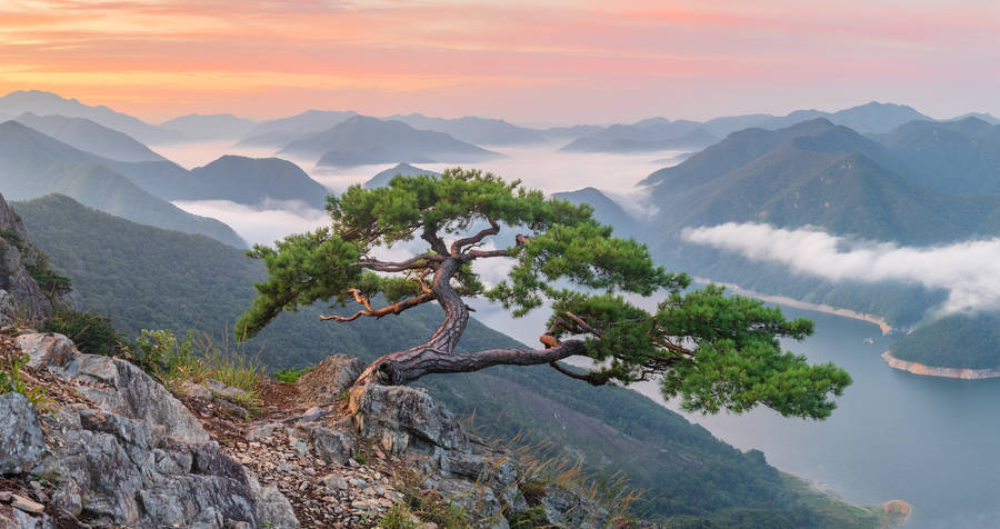 Bukhansan National Park South Korea Wallpaper