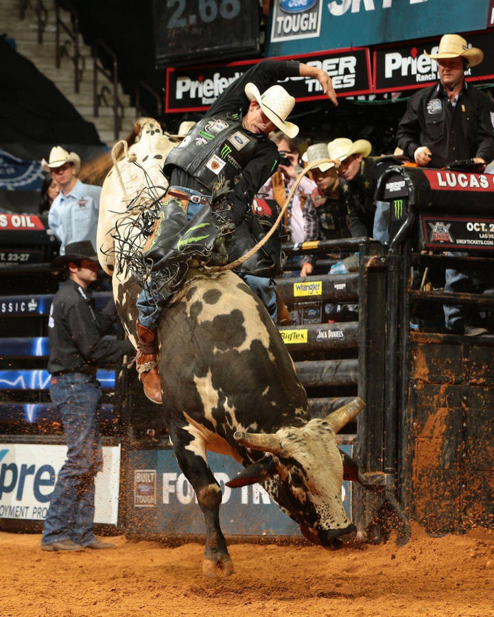 Bull Riding In Madison Square Garden Wallpaper