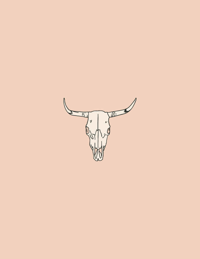 Bull Skull Line Drawing Wallpaper