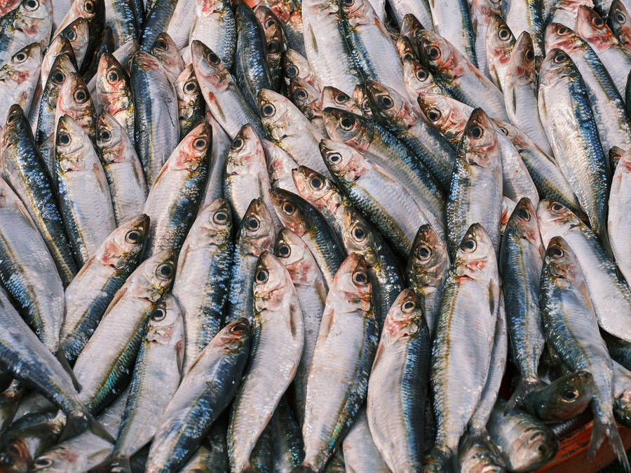 Bunch Of Dried Herrings Wallpaper