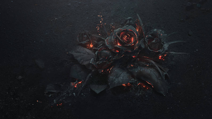 Burning Flower Pc Wallpaper