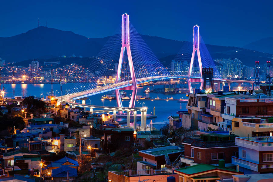 Busan Harbor Bridge South Korea Wallpaper