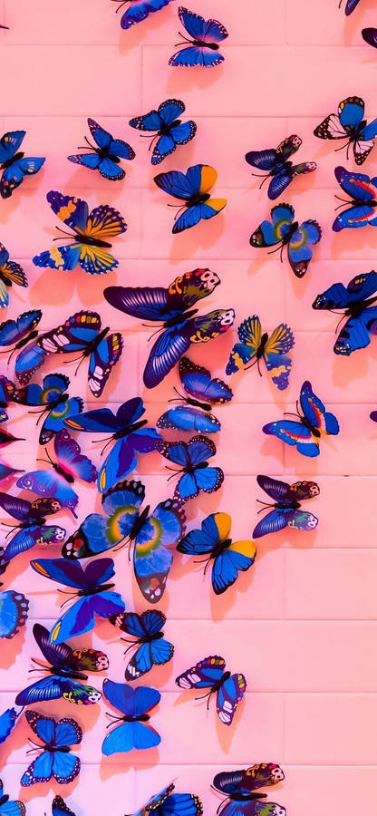 Butterflies On Pink Wall Wallpaper