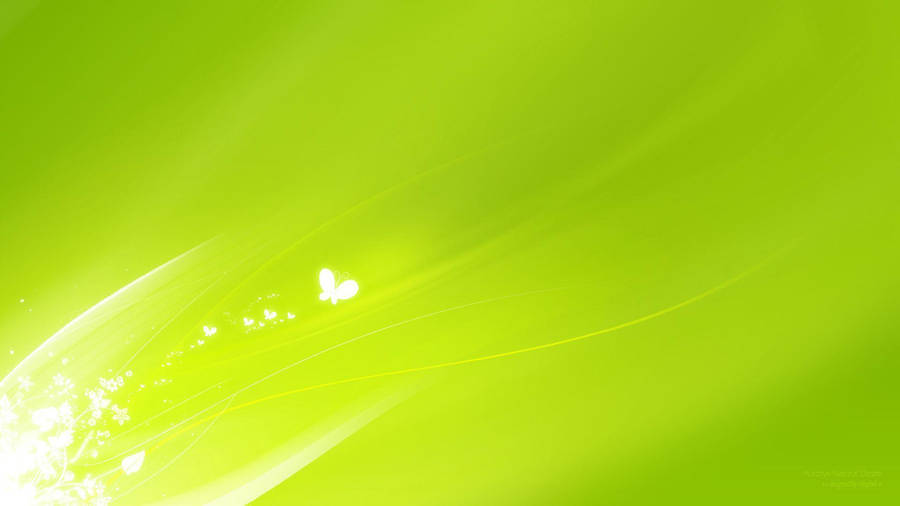 Butterflies On Super Light Green Wallpaper