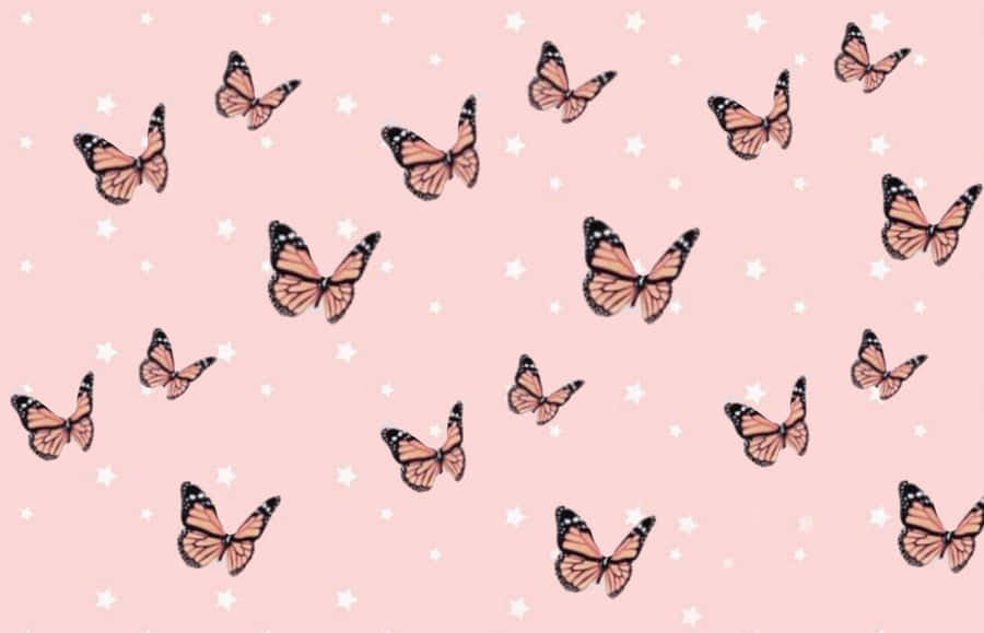 Butterfliesand Stars Pattern Wallpaper