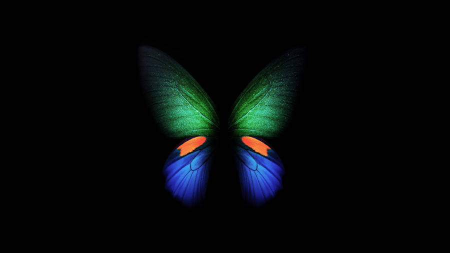 Butterfly Wings 4d Ultra Hd Wallpaper