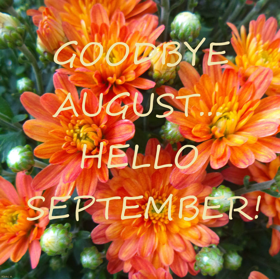 Bye August Hello September Wallpaper