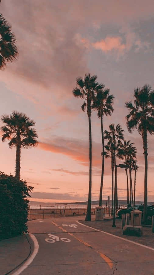 California Tall Palm Trees Iphone Wallpaper