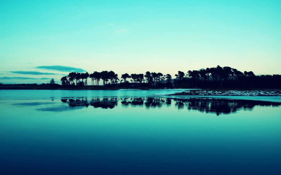 Calming Desktop Coconut Trees Reflection Wallpaper