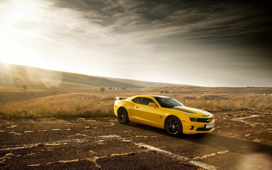 Camaro Muscle Cars Desert Feature Wallpaper