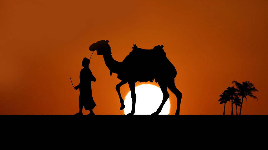 Camel In Dusk Wallpaper