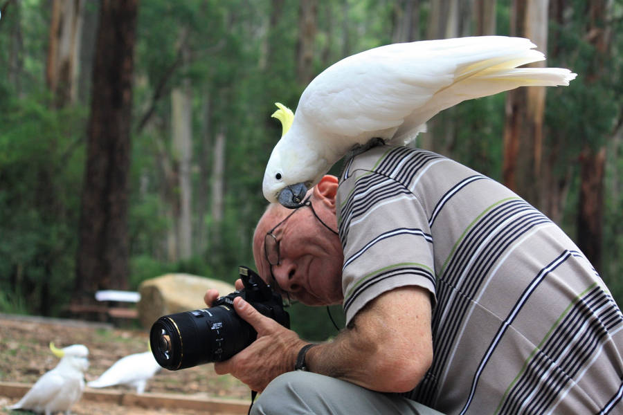 Camera For Wildlife Photography Wallpaper