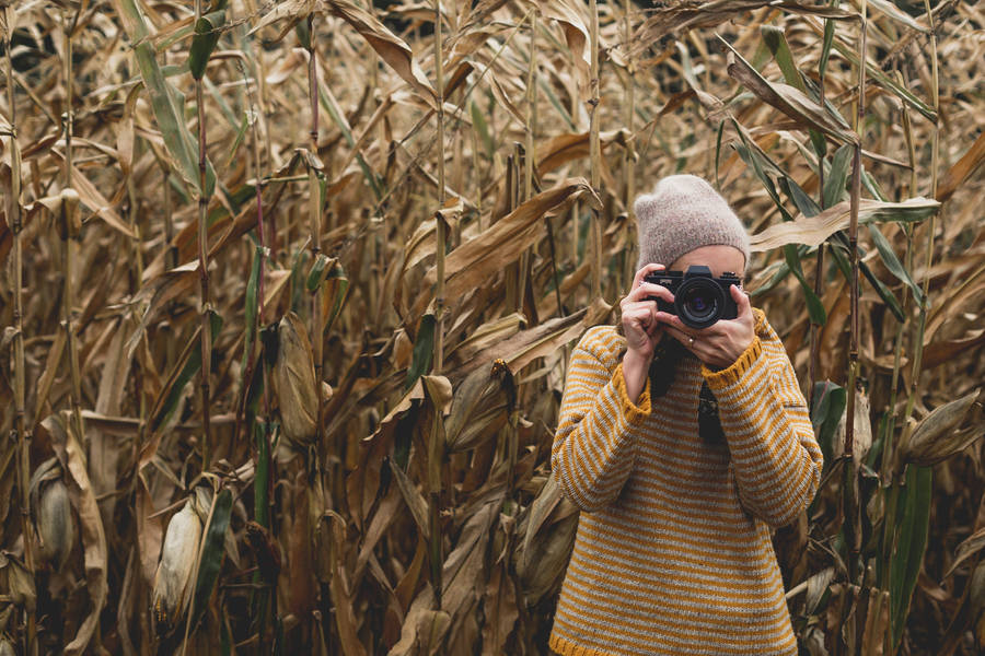 Camera In The Tall Grass Wallpaper