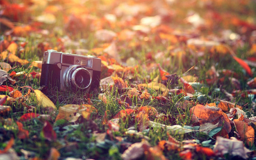 Camera On Grass Vintage Aesthetic Laptop Wallpaper