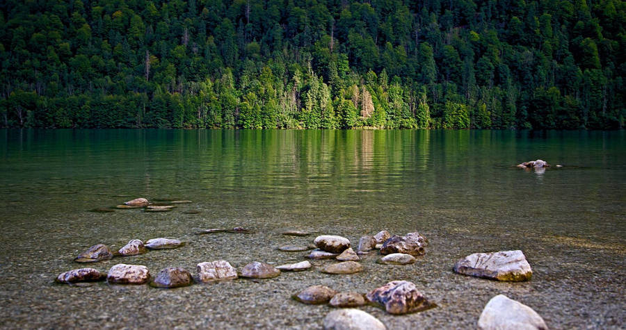 Cameron Forest Lake Wallpaper