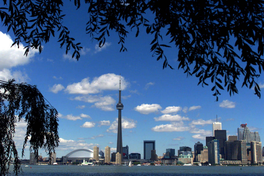 Canada Cn Tower Wide Shot Wallpaper