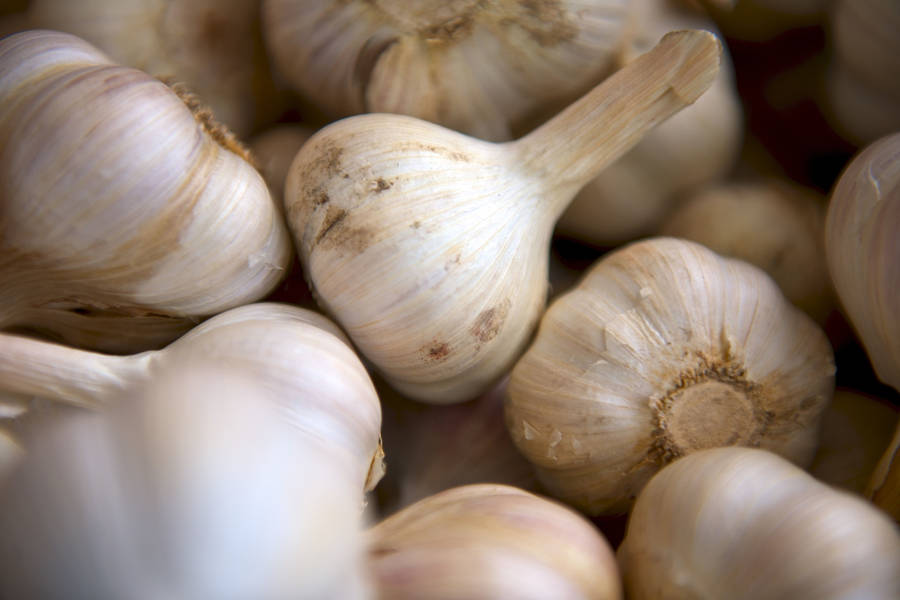 Caption: Close-up Of Fresh Garlic Bundle Wallpaper