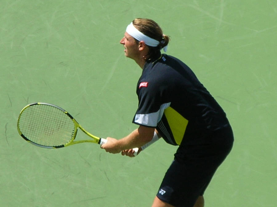 Caption: David Nalbandian Executing A Back Shot On The Tennis Court Wallpaper