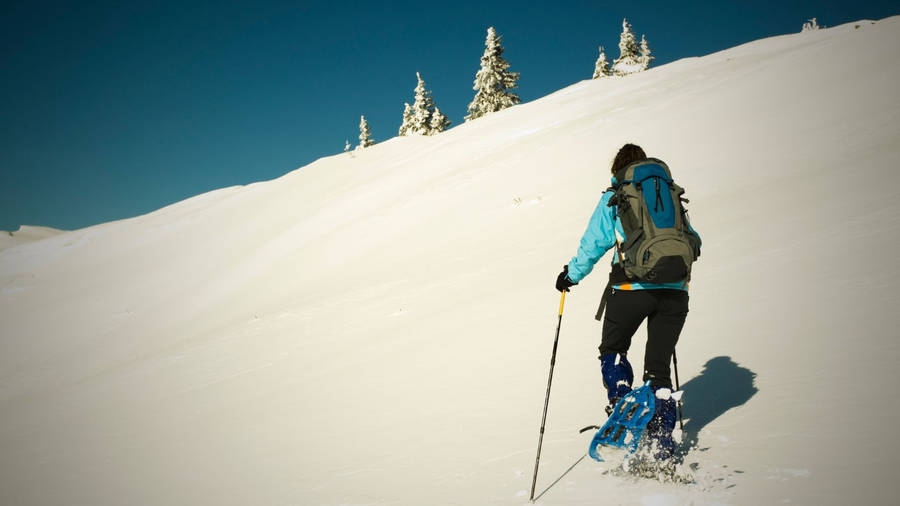 Caption: Determined Snowshoer Embarking On An Uphill Climb Wallpaper