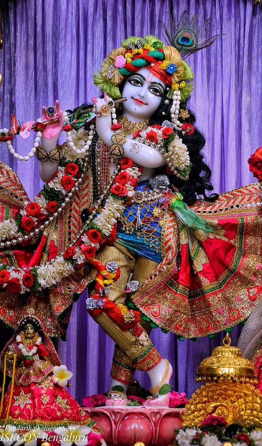 Caption: Divine Statue Of Krishna In Iskcon Temple Wallpaper