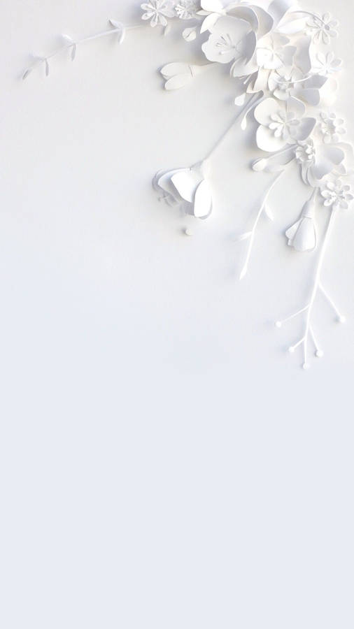 Caption: Elegance In Simplicity: White Flower Design For Iphone Wallpaper