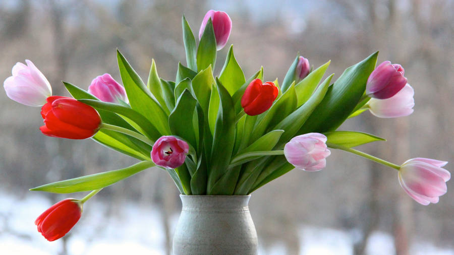 Caption: Elegant Drooping Tulips In A Flower Vase Wallpaper