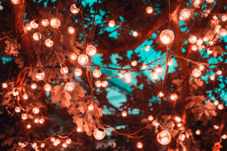 Caption: Enchanting Cascade Of String Lights Wallpaper