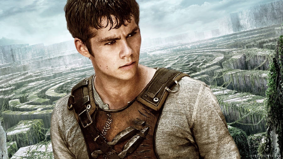 Caption: Enigmatic Dylan O'brien In Maze Runner Wallpaper