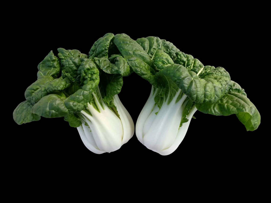 Caption: Fresh Bok Choy Greens Wallpaper