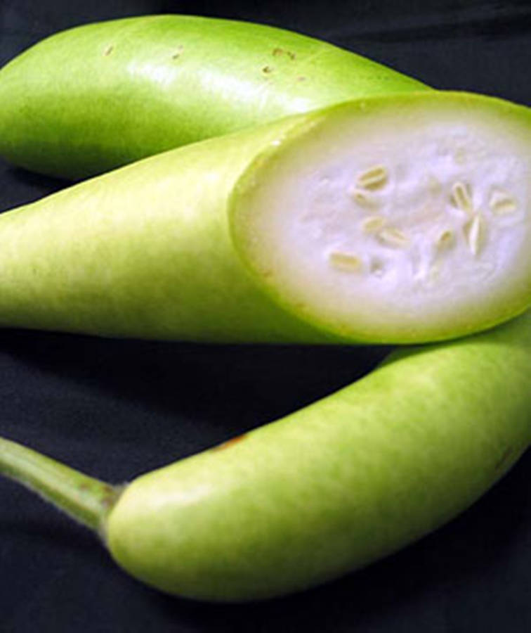 Caption: Fresh Harvest Of Ash Gourd Wallpaper