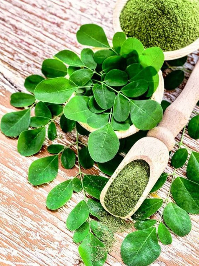 Caption: Green Vitality - A Scoop Of Fresh Moringa Powder Wallpaper