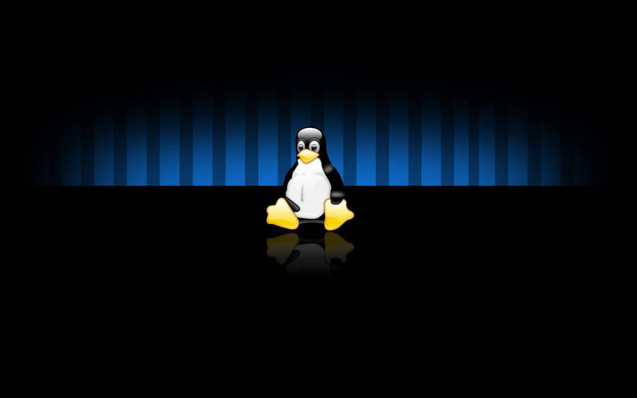 Caption: Linux Tux Penguins On Official Black Background Wallpaper