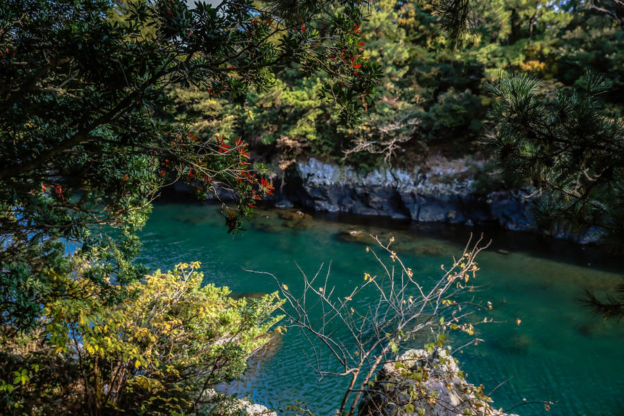 Caption: Majestic Capture Of Soesokkak Estuary - A Hidden Gem In Jeju Island Wallpaper