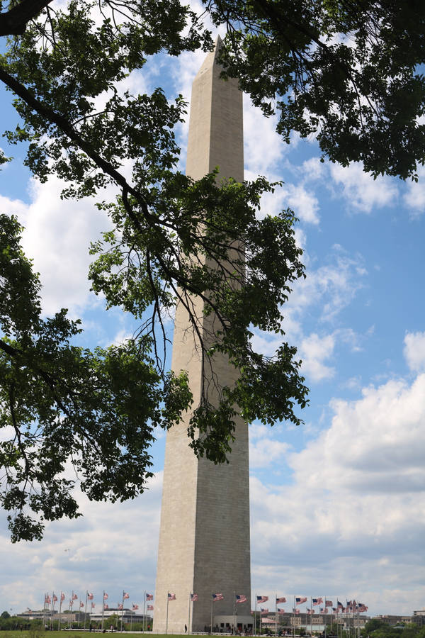 Caption: Majestic Monument Amidst Greenery At National Mall Wallpaper