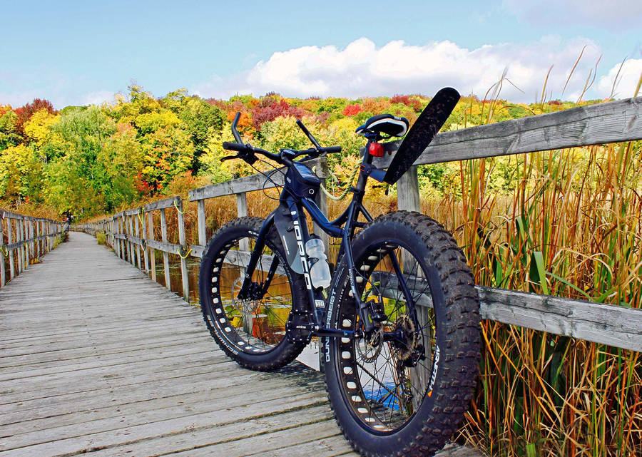 Caption: Majestic Norco Bigfoot Mountain Bike In Wilderness Wallpaper