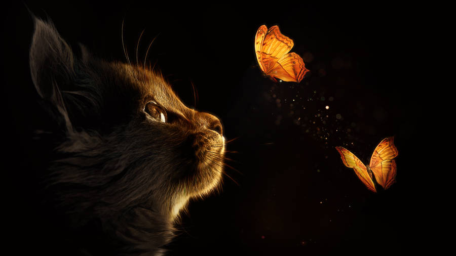 Caption: Mystical Black Art - Kitten Amidst Butterflies Wallpaper