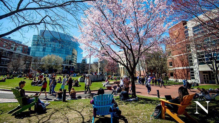 Caption: Scenic View Of Northeastern University Park Wallpaper