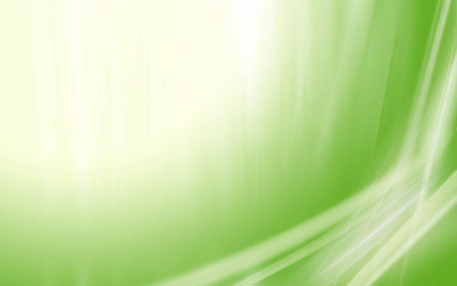 Caption: Serene Light Green Gradient Wallpaper