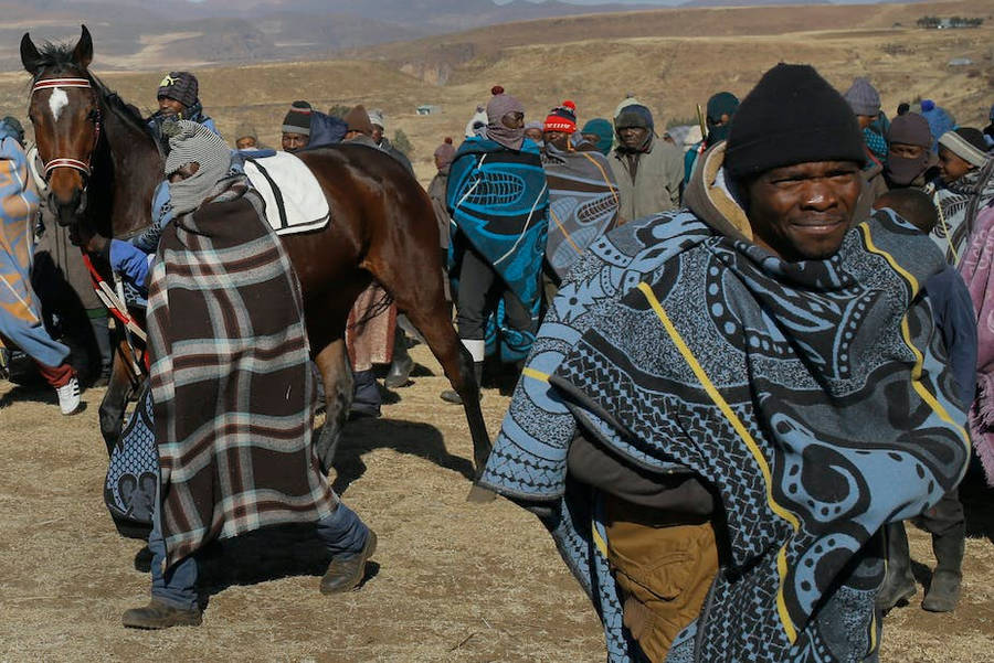 Caption: The Chills Of Lesotho: Traditional Horse Wrapped In Warm Clothes Wallpaper