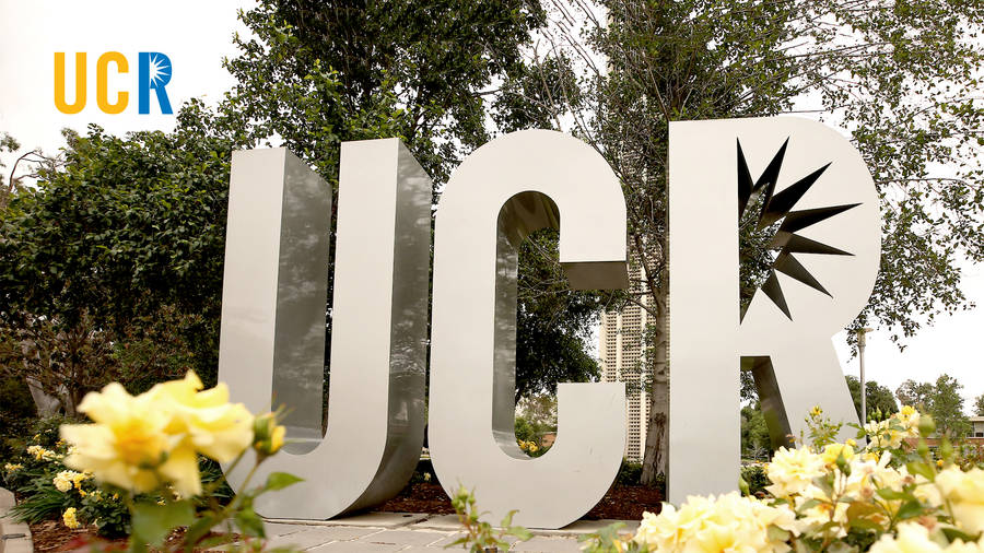 Caption: Ucr Campus Entrance Beautified By Bright Yellow Flowers Wallpaper