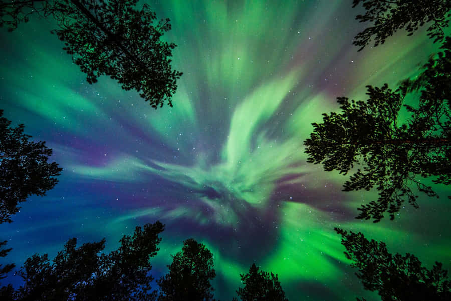 Captivating Aurora Borealis Dancing Across The Night Sky Wallpaper