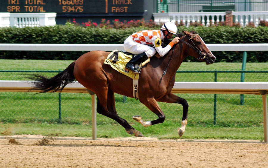 Captivating Horse Race Amidst Vibrant Blossoms Wallpaper