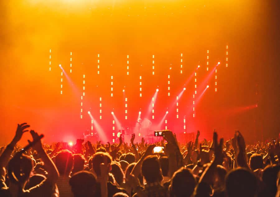 Captivating Music Festival Moments Wallpaper