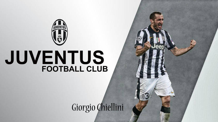 Captivating Portrait Of Giorgio Chiellini Wallpaper