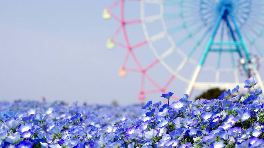 Captivating Scenery Of A Blurry Ferris Wheel Amidst Blooming Blue Flowers Wallpaper