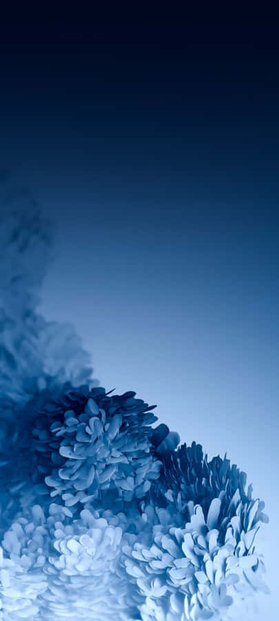 Capture The World In Detail With The Samsung S20 Wallpaper