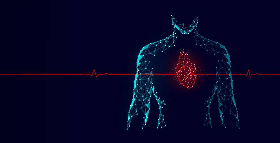 Cardiology Concept Heartbeat Line Wallpaper